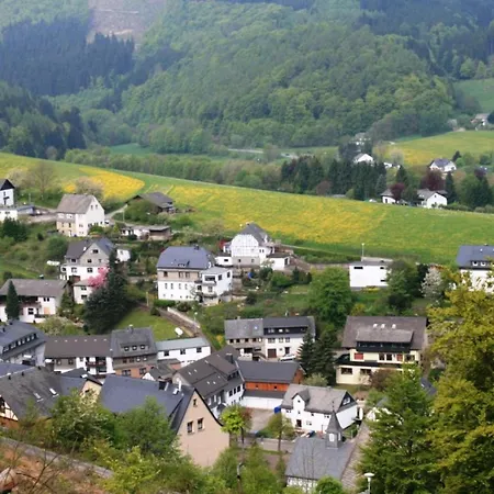 Near Willingen With Private Terrace *
