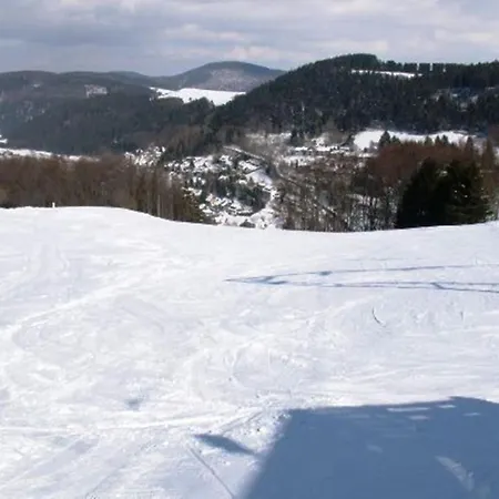 Bei Willingen Mit Eigener Terrasse شقة