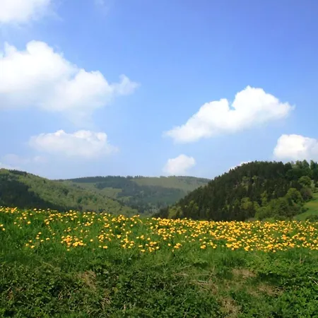 شقة Bei Willingen Mit Eigener Terrasse