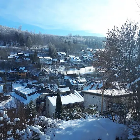 Bei Willingen Mit Eigener Terrasse * Schwalefeld