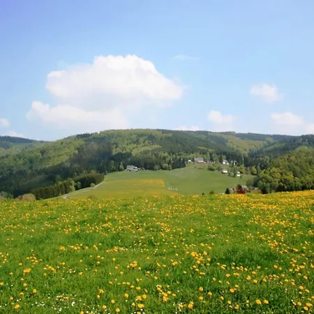 Bei Willingen Mit Eigener Terrasse * Schwalefeld
