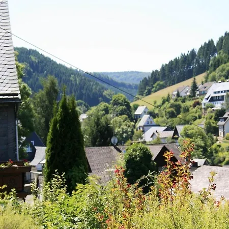 Bei Willingen Mit Eigener Terrasse Apartment Schwalefeld