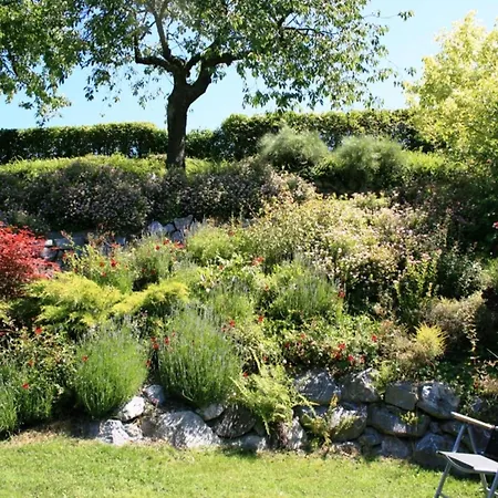 Bei Willingen Mit Eigener Terrasse *