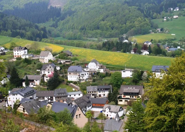 Bei Willingen Mit Eigener Terrasse *