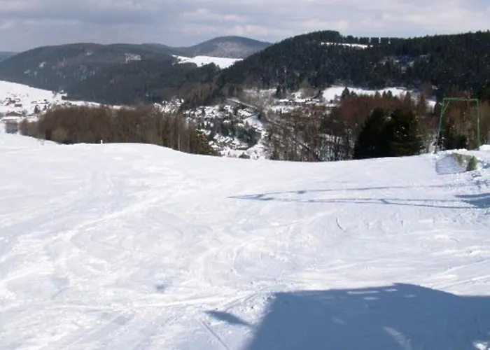 Bei Willingen Mit Eigener Terrasse Apartman