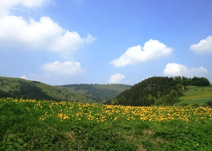 Apartman Bei Willingen Mit Eigener Terrasse