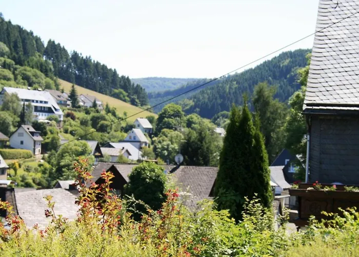 Bei Willingen Mit Eigener Terrasse *