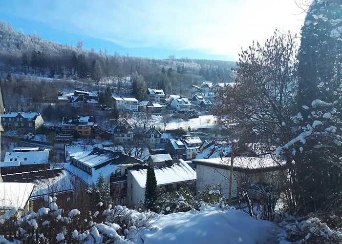 Bei Willingen Mit Eigener Terrasse * Schwalefeld