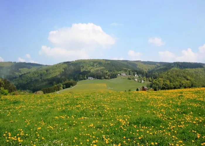 Bei Willingen Mit Eigener Terrasse * Schwalefeld