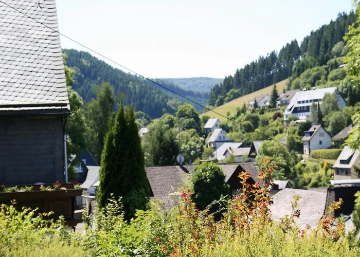 Bei Willingen Mit Eigener Terrasse Apartman Schwalefeld