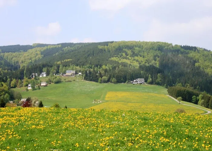 Bei Willingen Mit Eigener Terrasse * Schwalefeld