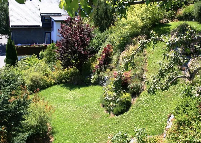 Bei Willingen Mit Eigener Terrasse * Schwalefeld